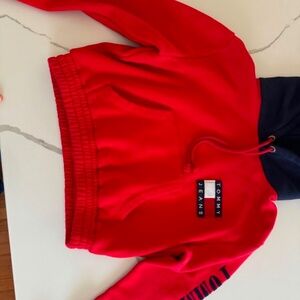 Tommy jeans cropped hoodie